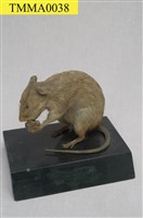 藏品(鬼鼠)的圖片